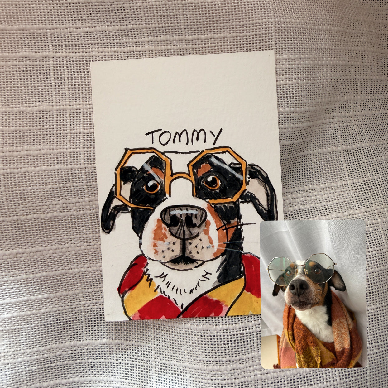 Silly Sketched Pet Portrait