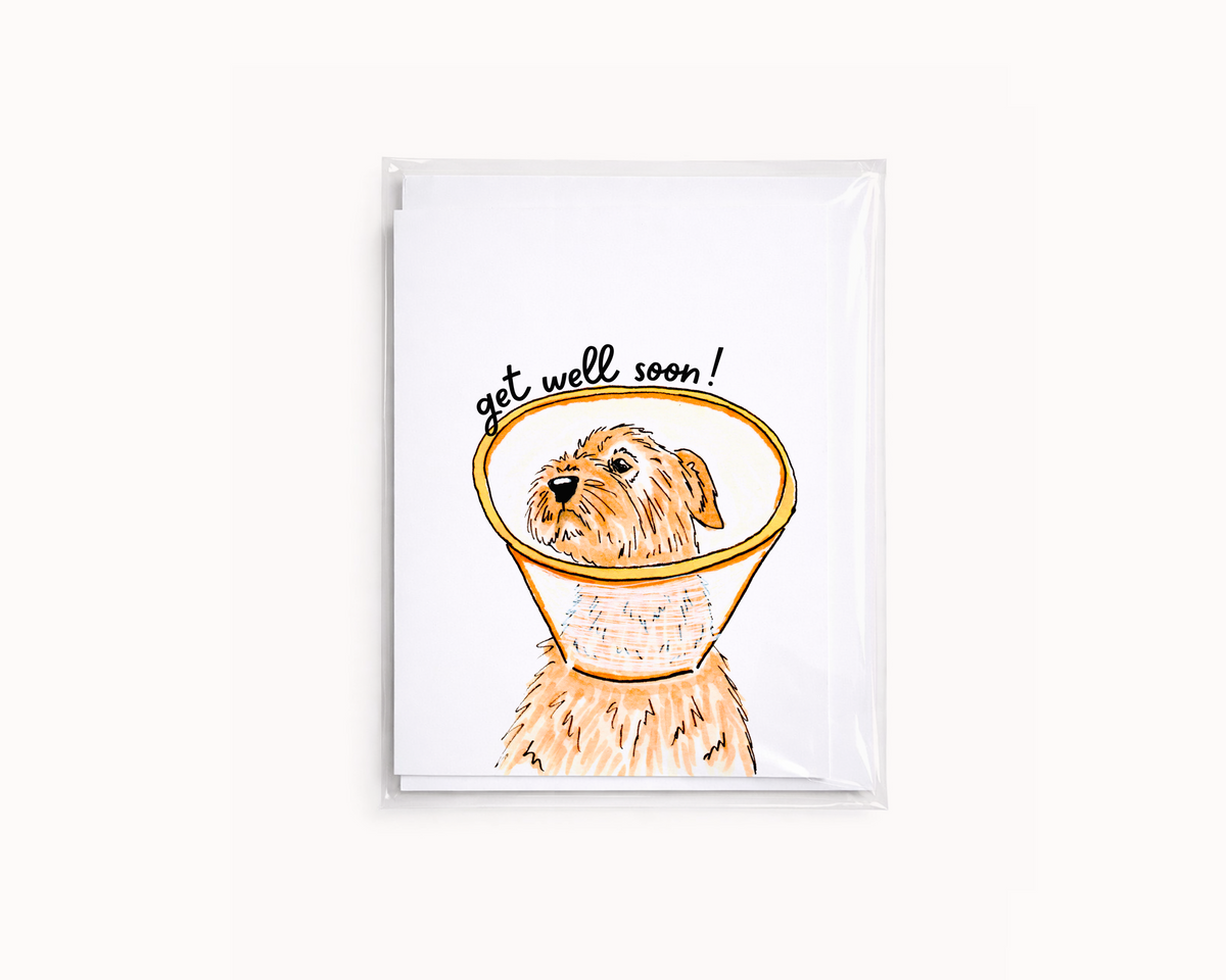 Dog in Cone- Get Well Card