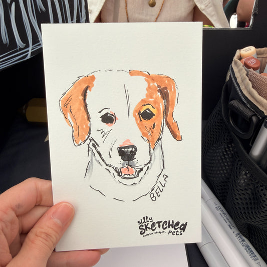 Sketchy Doodle Pet Portrait
