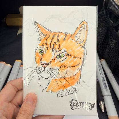 Sketchy Doodle Pet Portrait