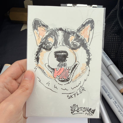 Sketchy Doodle Pet Portrait