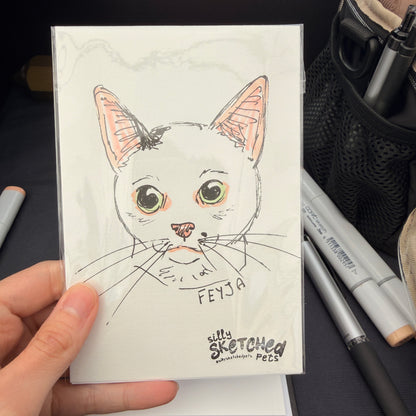 Sketchy Doodle Pet Portrait