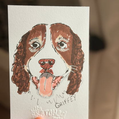 Sketchy Pet Portrait