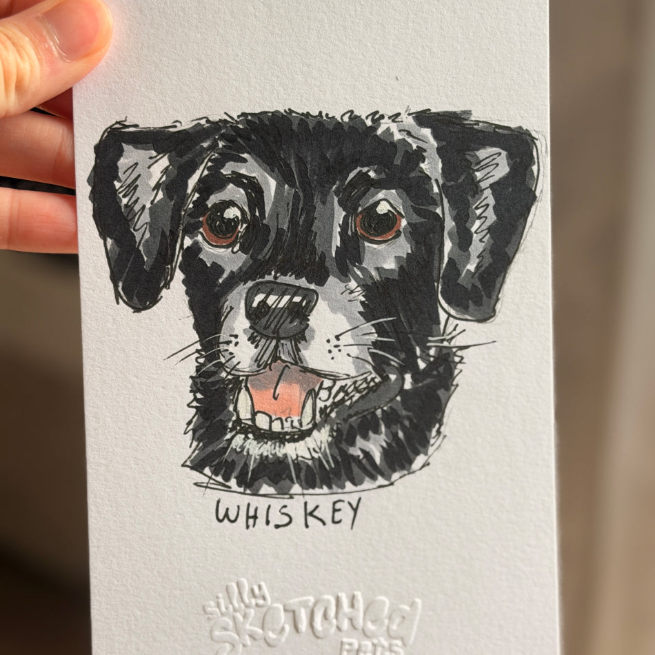 Sketchy Pet Portrait