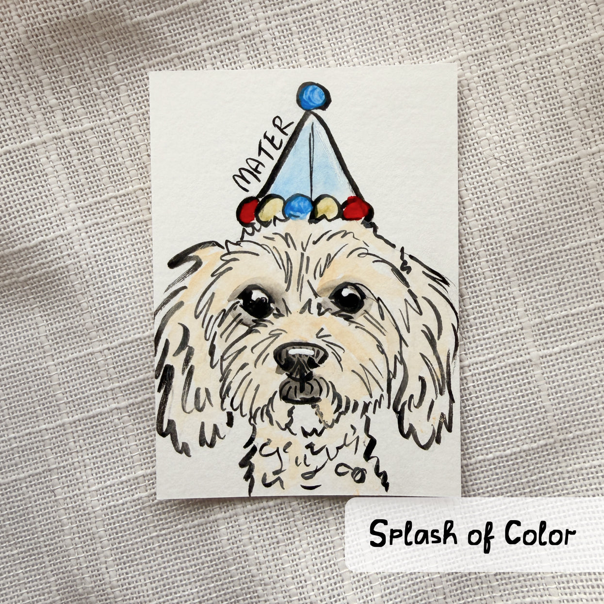 Silly Sketched Pet Portrait