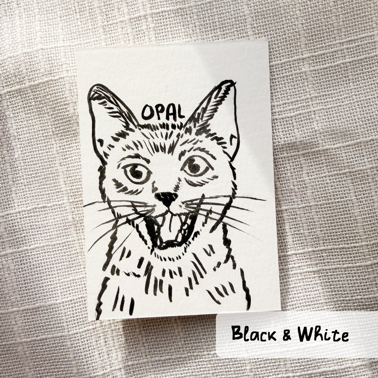 Silly Sketched Pet Portrait