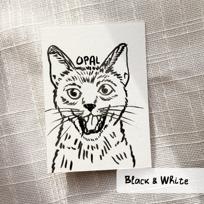 Silly Sketched Pet Portrait