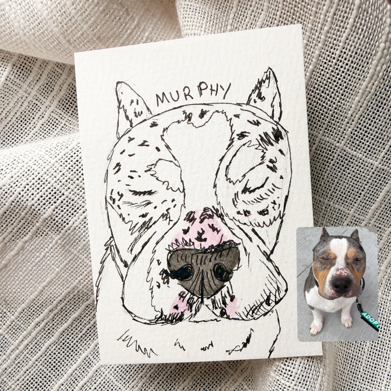 Silly Sketched Pet Portrait