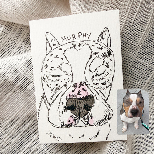 Silly Sketched Pet Portrait