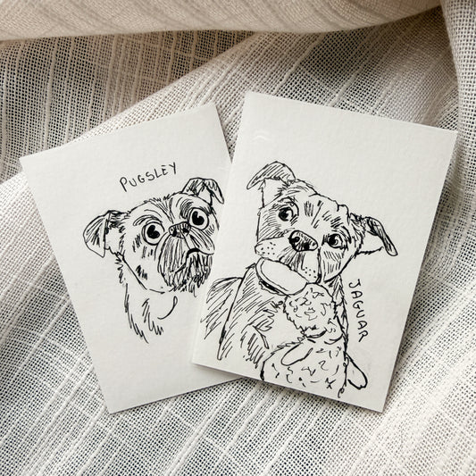 Silly Sketched Pet Portrait