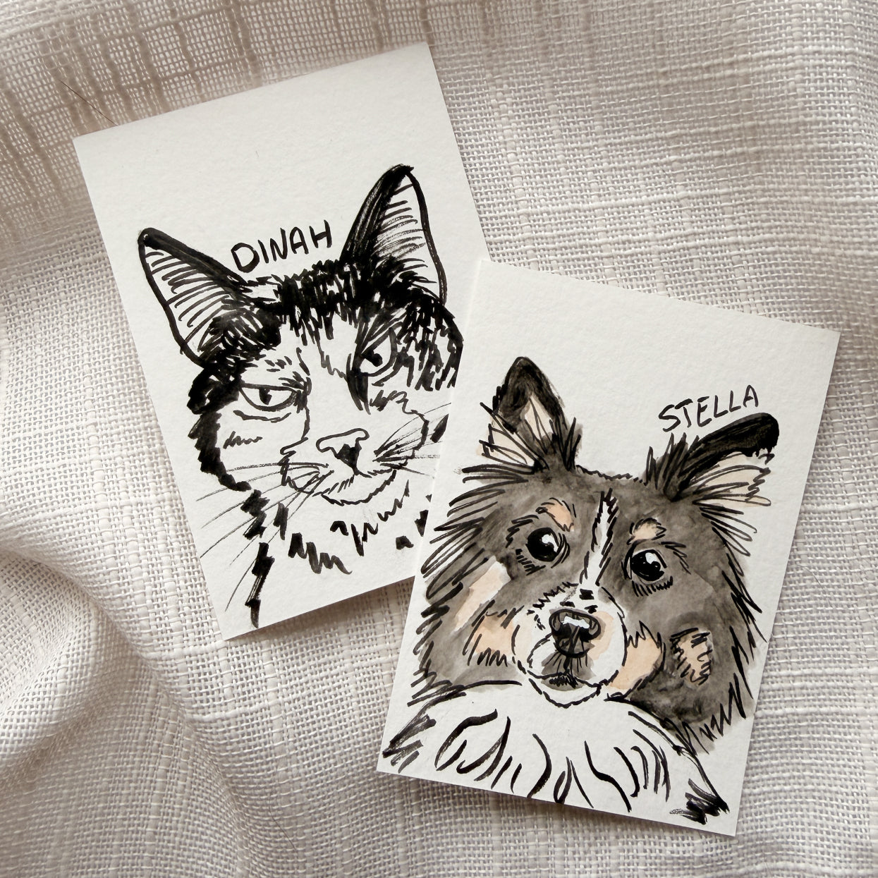 Silly Sketched Pet Portrait