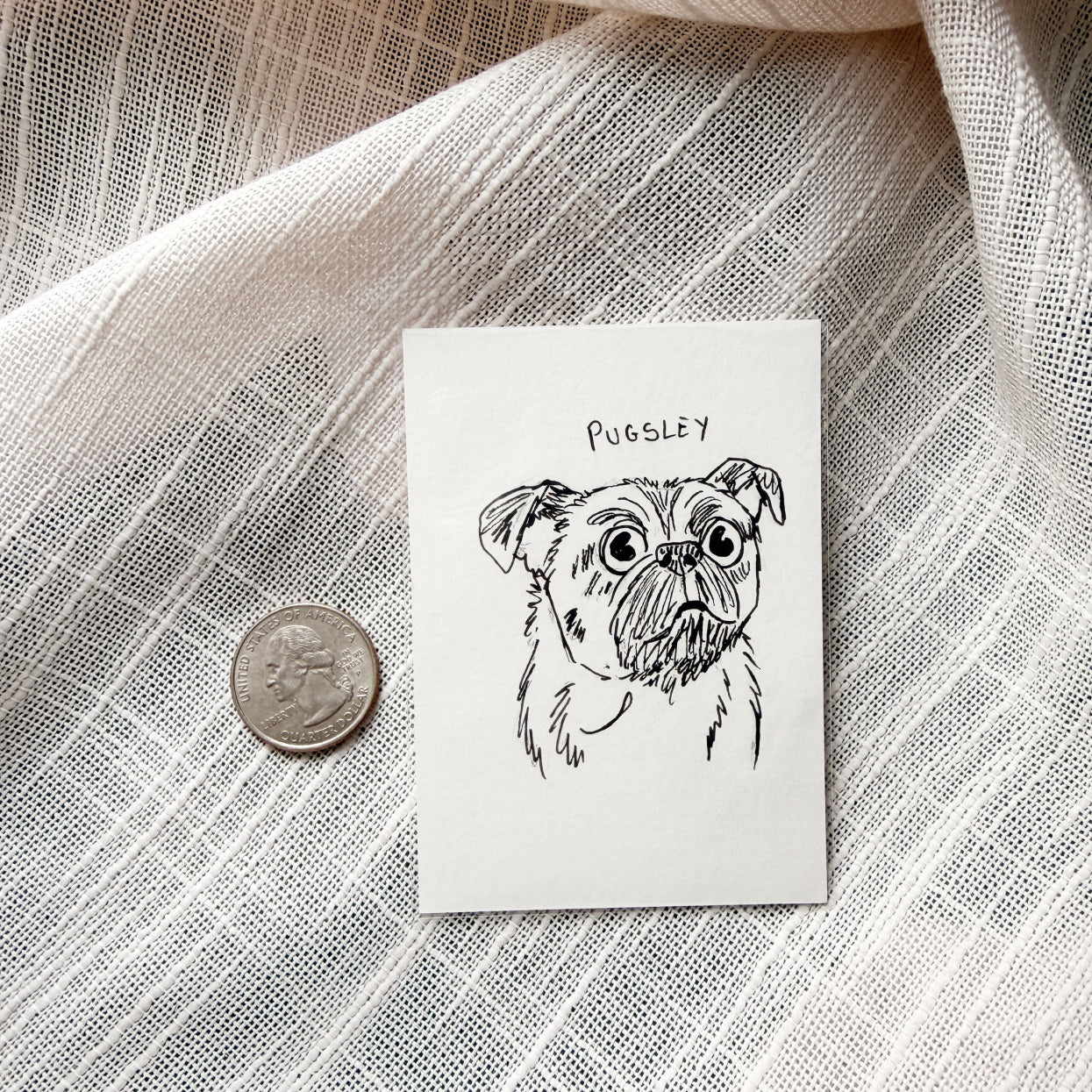 Silly Sketched Pet Portrait