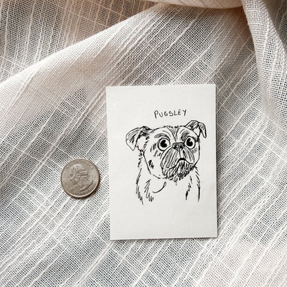 Silly Sketched Pet Portrait