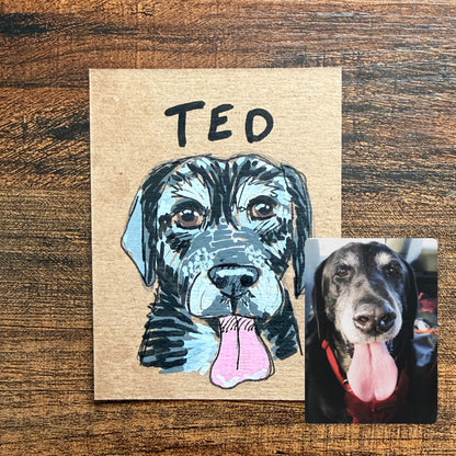 Silly Sketched Pet Portrait