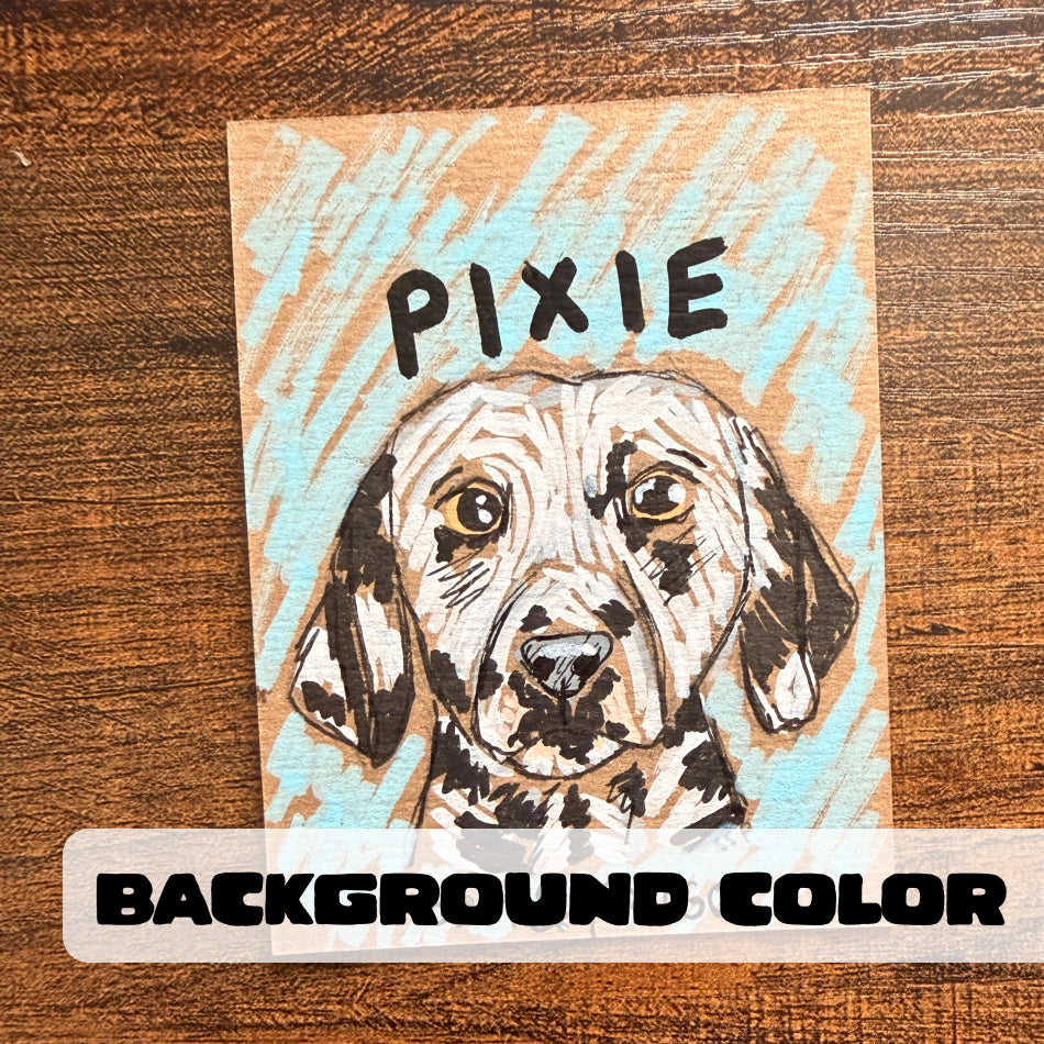 Silly Sketched Pet Portrait