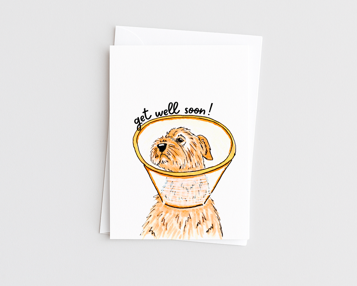 Dog in Cone- Get Well Card